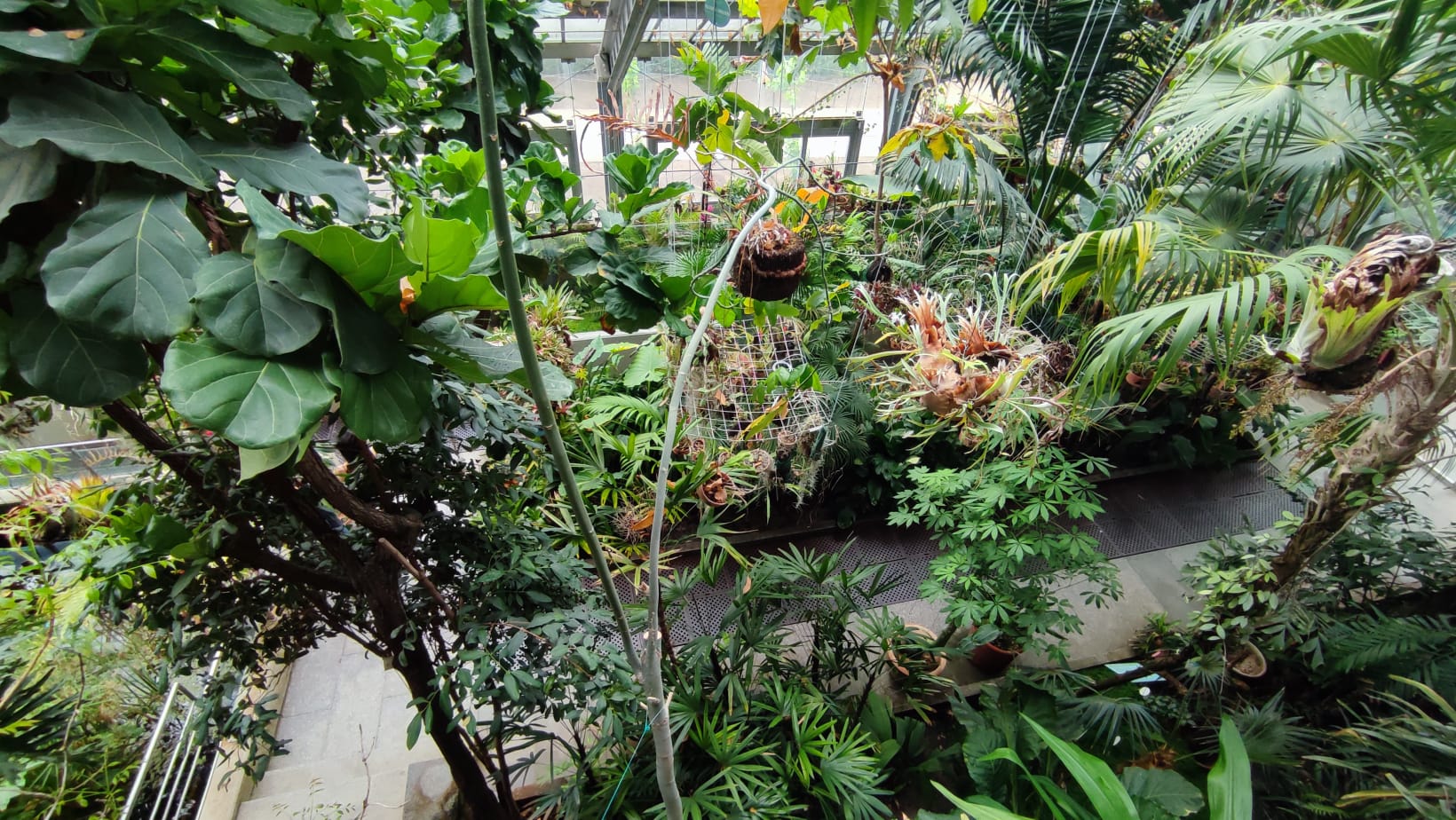 IMG-20230430-WA0055